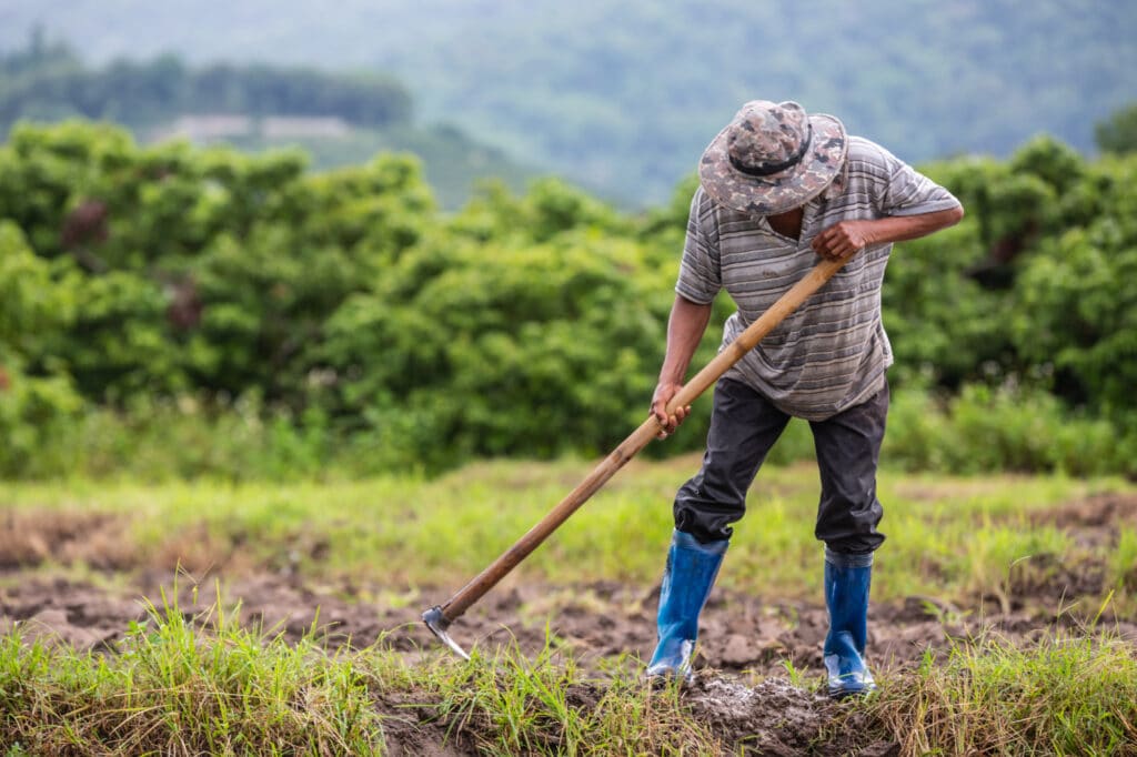 Como comprovar atividade rural