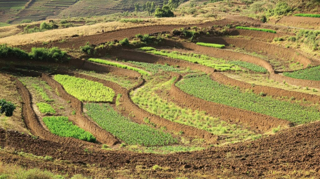 Lei do arrendamento rural